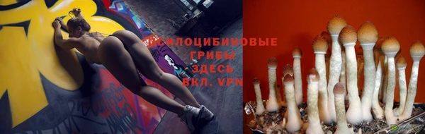 a pvp Арсеньев