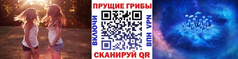 kraken как войти  Североуральск  Псилоцибиновые грибы Psilocybe  купить  цена 